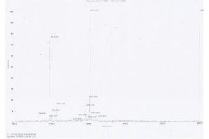 Image no. 3 for Heparanase (HPSE) protein (Ovalbumin) (ABIN1880256) (HPSE Protein (Ovalbumin))