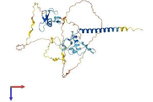 AlphaFold protein structure predicition of Mouse Recombinant Mbd2 Protein, UniprotID Q9Z2E1