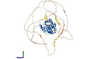 AlphaFold protein structure predicition of Human Recombinant CPEB3 Protein, UniprotID Q8NE35