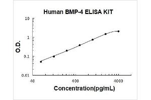 Human BMP-4 PicoKine ELISA Kit standard curve