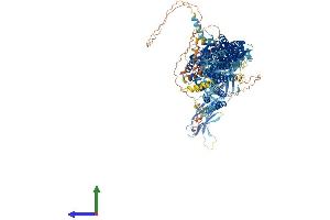 AlphaFold protein structure predicition of Human Recombinant CADPS Protein, UniprotID Q9ULU8