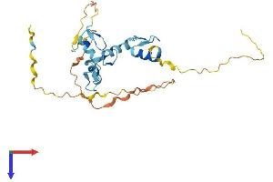 AlphaFold protein structure predicition of Human Recombinant ZNF524 Protein, UniprotID Q96C55
