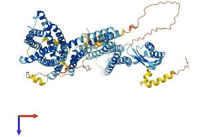 AlphaFold protein structure predicition of Human Recombinant SLC30A5 Protein, UniprotID Q8TAD4