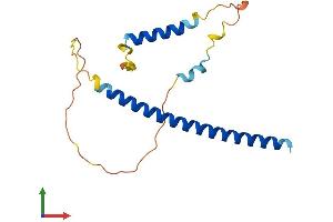 AlphaFold protein structure predicition of Human Recombinant DDIT3 Protein, UniprotID P35638