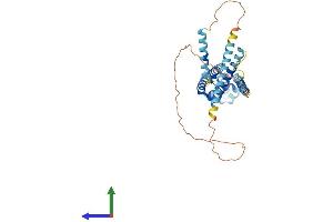 AlphaFold protein structure predicition of Human Recombinant CFAP36 Protein, UniprotID Q96G28