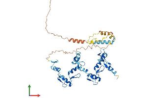 AlphaFold protein structure predicition of Human Recombinant ZNF558 Protein, UniprotID Q96NG5