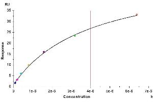 Mouse CD155, His Tag immobilized on CM5 Chip can bind Mouse TIGIT, His Tag with an affinity constant of 4.