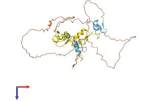 AlphaFold protein structure predicition of Mouse Recombinant Scrt1 Protein, UniprotID Q99M85