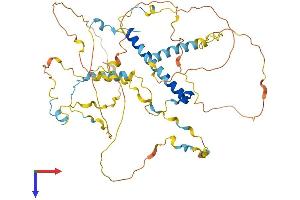 AlphaFold protein structure predicition of Human Recombinant PRCC Protein, UniprotID Q92733