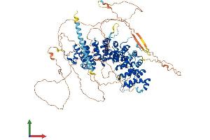 AlphaFold protein structure predicition of Mouse Recombinant Ctnnd1 Protein, UniprotID P30999