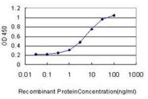 Detection limit for recombinant GST tagged RACGAP1 is approximately 0.