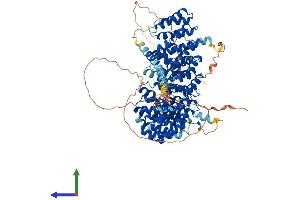 AlphaFold protein structure predicition of Mouse Recombinant Ppp4r4 Protein, UniprotID Q8C0Y0