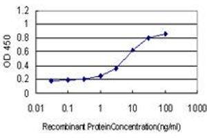 Detection limit for recombinant GST tagged SDSL is approximately 0.