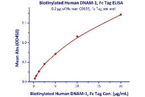 Measured by its binding ability in a functional ELISA. (CD226 Protein (CD226) (AA 19-247) (Fc Tag,AVI tag,Biotin))