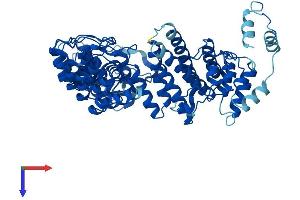 AlphaFold protein structure predicition of Human Recombinant FEM1B Protein, UniprotID Q9UK73
