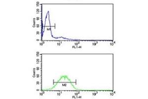 VDAC1 antibody flow cytometry analysis of HL-60 cells (green) compared to a negative control (blue).