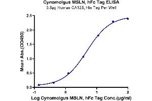 Immobilized Human CA125, His Tag at 5 μg/mL (100 μL/Well).