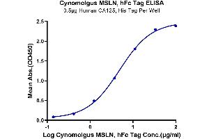 ELISA image for Mesothelin (MSLN) protein (Fc Tag) (ABIN7275282)
