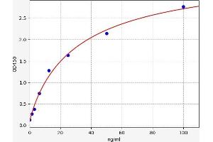 Typical standard curve (Melanocyte Antibody Kit ELISA)