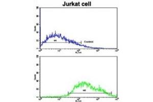 Flow Cytometry (FACS) image for anti-Component of Oligomeric Golgi Complex 4 (COG4) antibody (ABIN3003206)