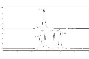 The purity of Cynomolgus / Rhesus macaque B7-1, His Tag (Hied) (ABIN2180840,ABIN2180839) was more than 90 % as determined by .