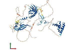 AlphaFold protein structure predicition of Human Recombinant SUZ12 Protein, UniprotID Q15022