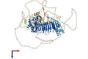 AlphaFold protein structure predicition of Human Recombinant FBXO38 Protein, UniprotID Q6PIJ6