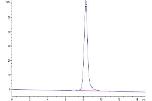 The purity of Cynomolgus LILRA4 is greater than 95 % as determined by SEC-HPLC. (LILRA4 Protein (His tag))