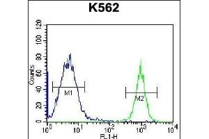 PTMS Antibody (C-term) (ABIN656745 and ABIN2845967) flow cytometric analysis of K562 cells (right histogram) compared to a negative control cell (left histogram). (Parathymosin anticorps  (C-Term))