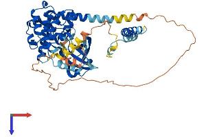 AlphaFold protein structure predicition of Mouse Recombinant Stk4 Protein, UniprotID Q9JI11