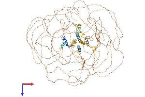 AlphaFold protein structure predicition of Mouse Recombinant Bcl9 Protein, UniprotID Q9D219