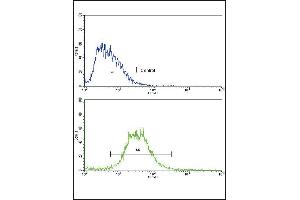 Flow cytometric analysis of HepG2 cells using IL17RB Antibody (Center)(bottom histogram) compared to a negative control cell (top histogram).