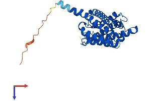 AlphaFold protein structure predicition of Mouse Recombinant Aqp8 Protein, UniprotID P56404