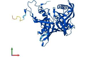 AlphaFold protein structure predicition of Human Recombinant L3HYPDH Protein, UniprotID Q96EM0