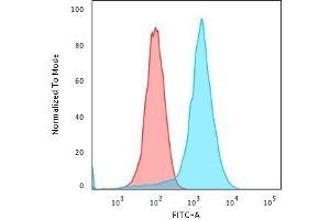 Flow Cytometric Analysis of PFA-fixed K562 cells using CD43 Mouse Recombinant Monoclonal Antibody (rSPN/839) followed by Goat anti-Mouse IgG-CF488 (Blue); Isotype Control (Red)