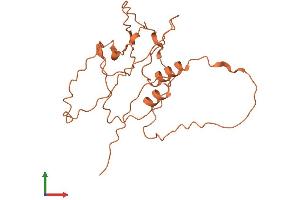 AlphaFold protein structure predicition of Human Recombinant ZNF365 Protein, UniprotID Q70YC4