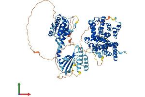 AlphaFold protein structure predicition of Human Recombinant PDE8A Protein, UniprotID O60658