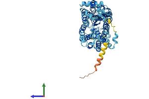 AlphaFold protein structure predicition of Human Recombinant SLC22A12 Protein, UniprotID Q96S37