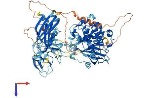 AlphaFold protein structure predicition of Human Recombinant PRKCE Protein, UniprotID Q02156