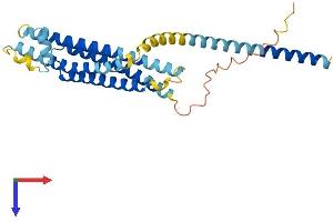 AlphaFold protein structure predicition of Human Recombinant STX4 Protein, UniprotID Q12846