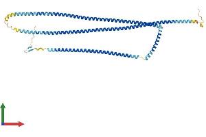AlphaFold protein structure predicition of Mouse Recombinant Cfap53 Protein, UniprotID Q9D439