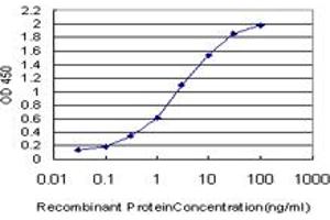 Detection limit for recombinant GST tagged SRF is approximately 0. (SRF anticorps  (AA 406-508))