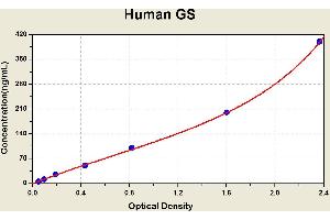 Diagramm of the ELISA kit to detect Human GSwith the optical density on the x-axis and the concentration on the y-axis.