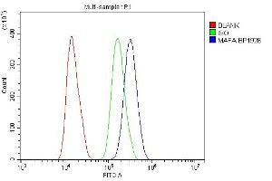 Flow Cytometry analysis of SiHa cells using anti-MAFA antibody (ABIN7602623). (MAFA anticorps  (AA 9-308))