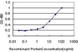 Detection limit for recombinant GST tagged WRN is approximately 0.
