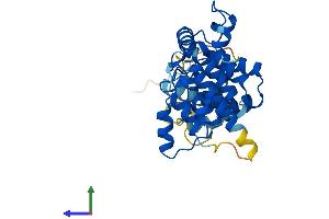 AlphaFold protein structure predicition of Mouse Recombinant Asb17 Protein, UniprotID Q8VHP9