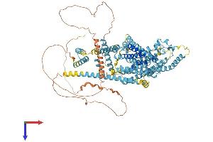 AlphaFold protein structure predicition of Human Recombinant TMC2 Protein, UniprotID Q8TDI7