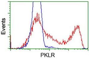 Flow Cytometry (FACS) image for anti-Pyruvate Kinase, Liver and RBC (PKLR) antibody (ABIN1500246) (PKLR anticorps)