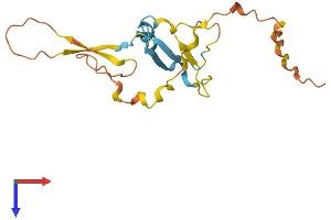 AlphaFold protein structure predicition of Mouse Recombinant Dazap2 Protein, UniprotID Q9DCP9