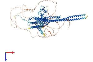 AlphaFold protein structure predicition of Mouse Recombinant Arhgap45 Protein, UniprotID Q3TBD2
